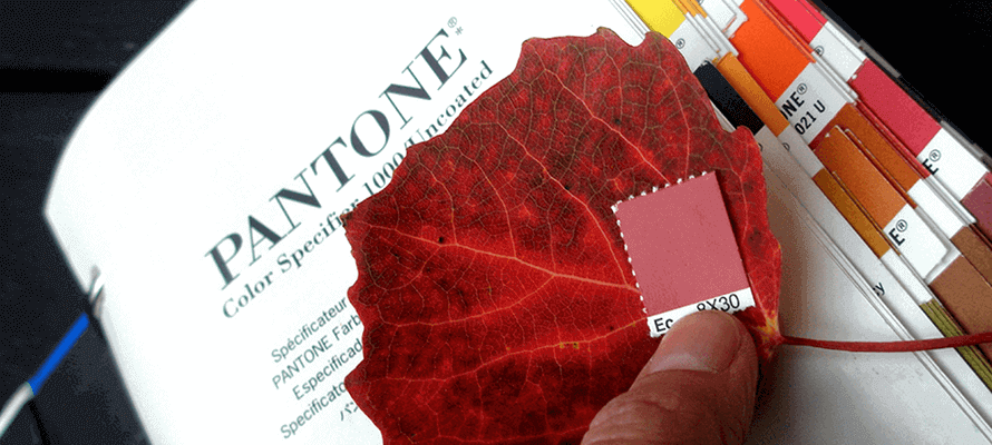 Pantone