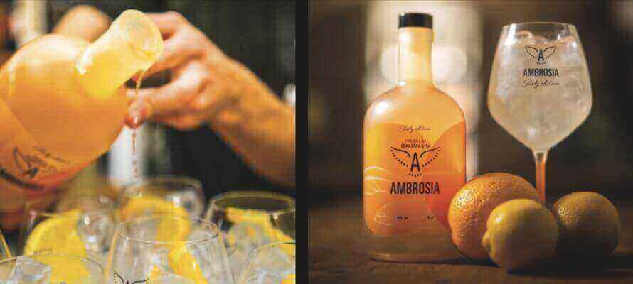 Ambrosia Gin Sicily P&P Promotion
