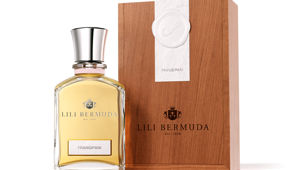 Lili Bermuda by Vincent Villeger